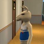 Zdjęcie profilowe Lama