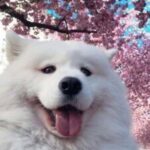 Zdjęcie profilowe tbielix03
